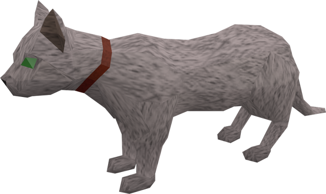 File:Pet cat (white) pet.png