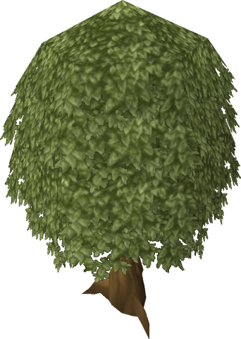 Soubor:Oak Tree.png