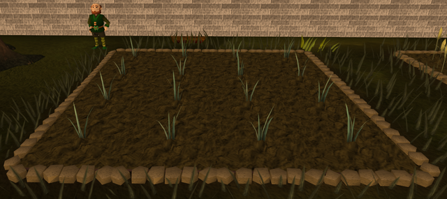 File:Reeds1.png
