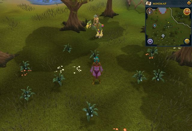 File:Compass clue Tree Gnome Stronghold north-east of charm spirites.png