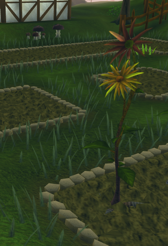File:Sunchoke6.png