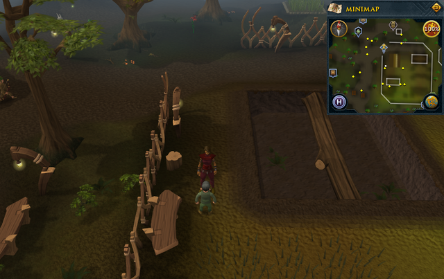 File:Cryptic clue Tree Gnome Stronghold gnome trainer.png