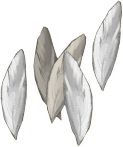 File:Silverhawk feathers detail.png