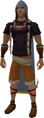 File:Summoning hood equipped.png