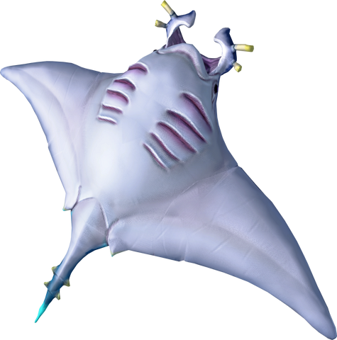 File:Raw manta ray detail.png