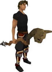 Cat staff equipped