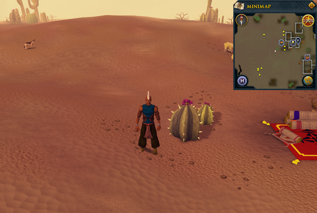 File:Cryptic clue Nardah cacti.png
