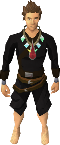 File:Arcane blood necklace equipped.png