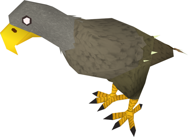 File:Karamjan Jungle eagle.png