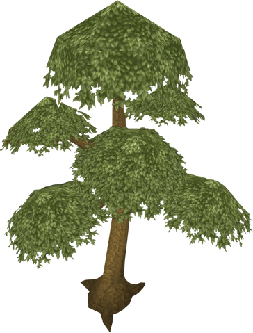File:Yew tree (Historical).png