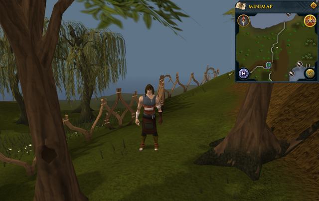 File:Compass clue Tree Gnome Stronghold east of the Tree Gnome Stronghold.png