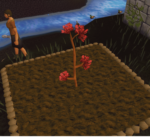 File:Maple2.png
