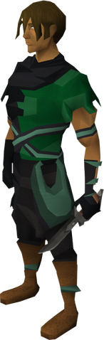 File:Iron defender equipped.png