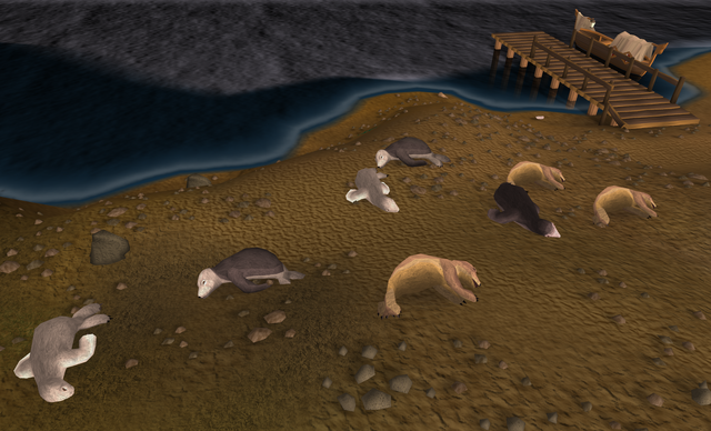 File:Seals sleeping.png