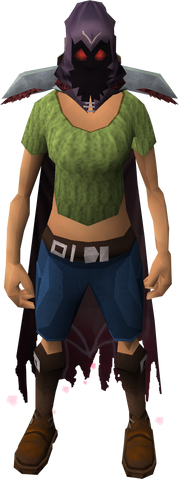 File:Combatant's hood equipped.png