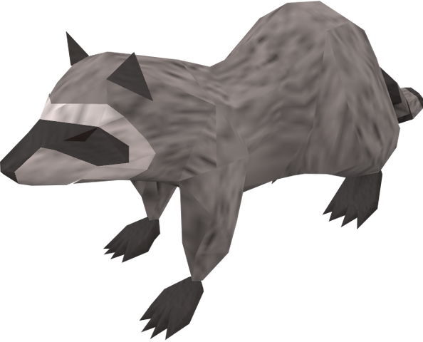 File:Raccoon (grey) pet.png