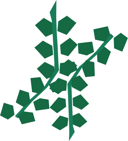 File:Edible seaweed detail.png