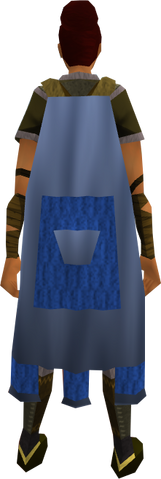 File:Team-21 cape equipped.png
