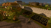 Yanille2