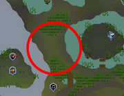 Ns4.png