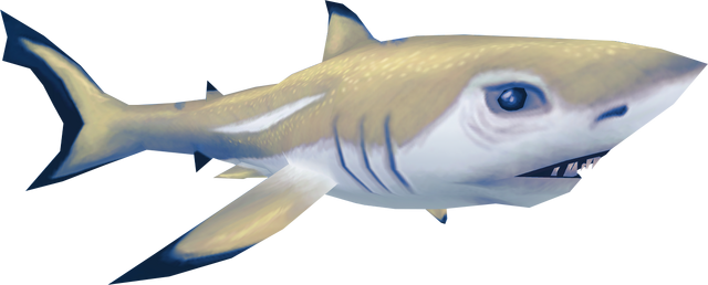 File:Shark (Aquarium).png