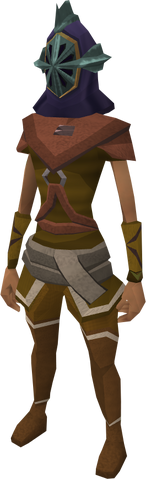 File:Helm of Zaros equipped.png