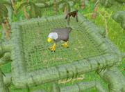 Karamja eagle eyrie