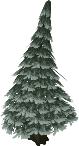 File:Arctic pine.png