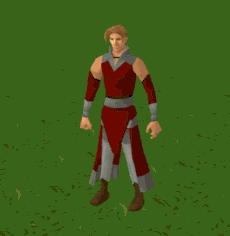 Protean memory