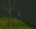Unknown.png