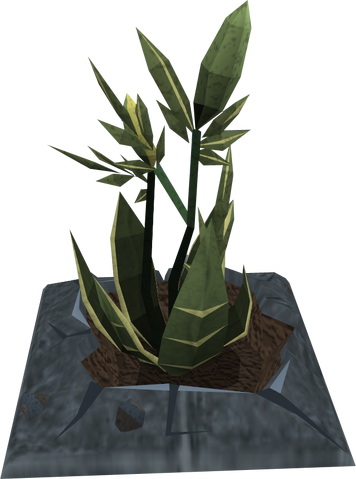 File:Wildercress plant.png