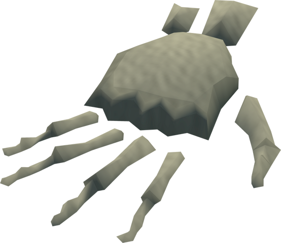 File:Hand bone detail.png