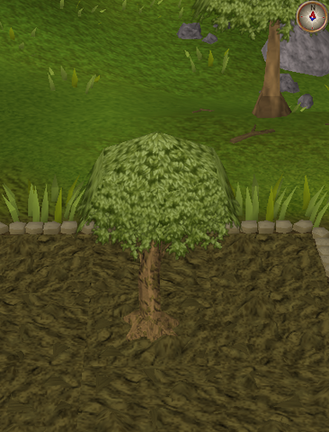 File:Spirit tree6.png