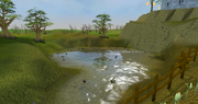 Fisher Realm ducks