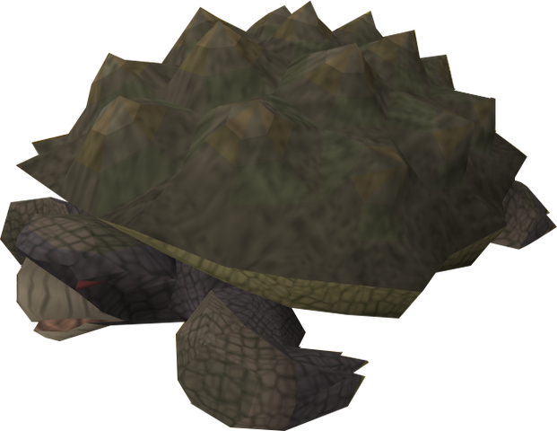 File:Tortoise old.png