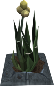Ectograss plant detail