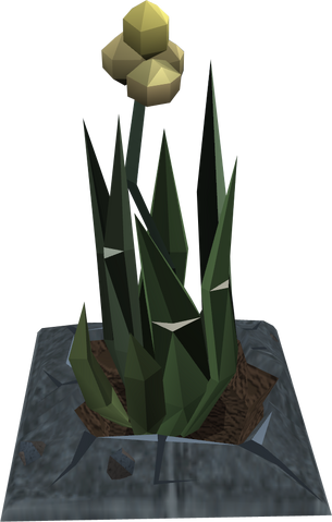 File:Ectograss plant detail.png