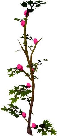 File:Rosaberry bush.png
