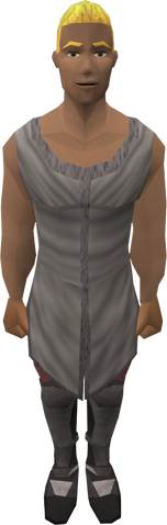 File:Squire Cerlyn.png