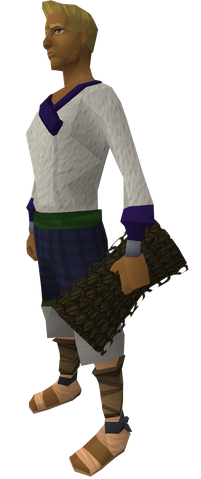 File:Big cast net equipped.png
