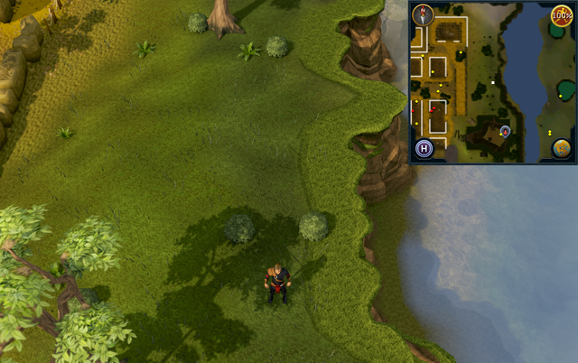 File:Compass clue Digsite east of Digsite.png