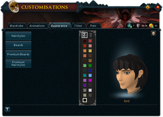 File:Customisations (Appearance) interface.png