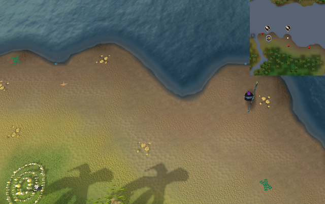 File:Compass clue Karamja east of fairy ring.png