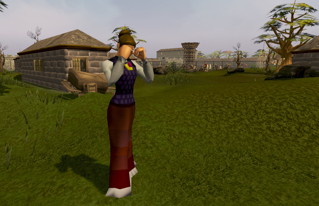 File:Fight Arena start.png