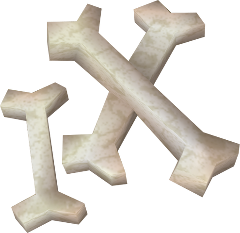 Soubor:Bones detail.png