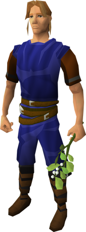 File:Festive mistletoe equipped.png