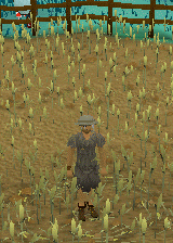 Crop Circle Teleport.gif