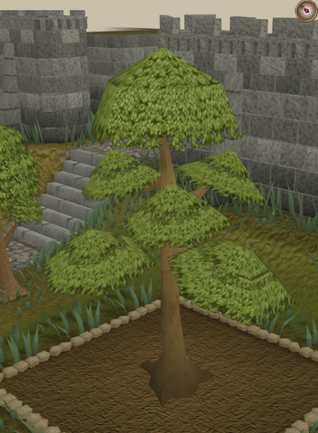 File:Yew6.png