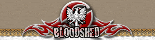 File:Bse banner light.gif