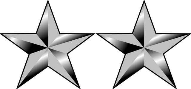 File:US-O8 insignia.png